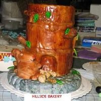 Squirrel Cake I entered this cake last weekend at the MD cake show. I received first place (Kim Morison was the judge) this was my first cake show. It is...