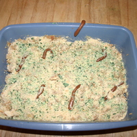 Lauren's B-Day This to me didn't fit with the regular birthday cakes, so I put it under other. It is a yellow cake with vanilla creme cookies...