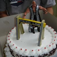 Wwf Cake this is a chocolate cake with rockyroad filling.