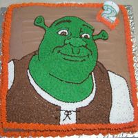Shrek My first "character" cake. I actually made 2 cakes this week, we had 2 parties because of family scheduling conflicts. The other...