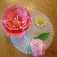 Wilton Class Flowers 