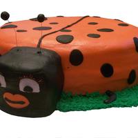 Ladybug BC Icing and eyelashes are fake