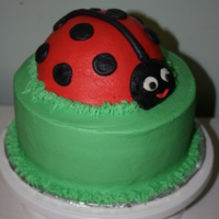 1St Birthday Ladybug Cake This cake was for my daughter's 1st birthday. The green layer is a 3 layer 9 inch round cake. I used one half of the Wilton ball pan...