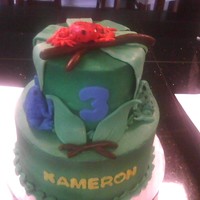 Tree Frog Cake 2 tier white cake covered in bc. Frogs and branches are fondant.