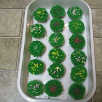 Cupcakes I DID THESE FOR MY DAUGHTERS PRE-SCHOOL CLASS. THEY WERE A BIG HIT.