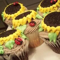 Sunflower Cupcakes My mom brought me a picture of these from a magazine and I had to try them. I'm really pleased with the way they turned out.