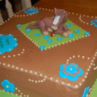 My Lil Pony for a 12 yr old girl who just loves horses