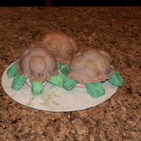 The Other Side Of The Turtles 