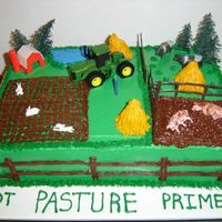 Farm Cake I made this for FIL's 81'st birthday! I really had fun making the haybales, LOL! But this picture clearly shows why I do NOT...