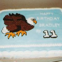 Eagle I was so excited, I was asked to make a cake with a Bald Eagle on it. I looked in some of my Old Wilton Books, I'm talking from the 70...