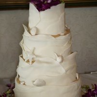 Mott Wrapped fondant with gumpaste seashells...natural sugar for sand. Bride was married in Cabo, then reception here...I wasnt to sure I was...