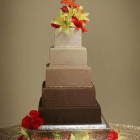 Amanda Graduated shades of chocolate fondant. 14, 12,10,8,6It took what seemed like forever to get this perfect...but it is one of my faves!