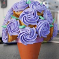 First Cupcake Bouquet 3" pot with 20+ mini cupcakes.