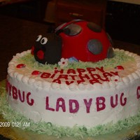 Ladybug Cake This cake was for my granddaughter 2nd birthday. Ladybug body is made out of cake using Sports Ball pan,and while the head is made out of...