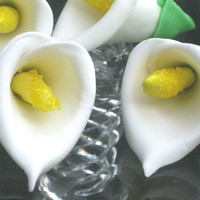 Gum Paste Calla Lily For the new Wilton class "Gum paste and fondant". I loved learning how to make this flower.