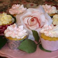 Dsc01476.jpg White genoise cupcakes with IMBC.