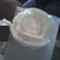 Rose_1.jpg This is my first Rose...