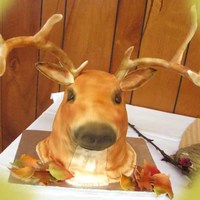 Buck Grooms cake, carrot cake with cream cheese icing covered in fondant..