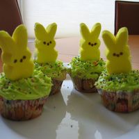 Easter Cupcakes Cupcakes for my son's daycare....I needed to do something simple and fun for the kids.