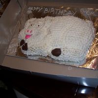 Pig Cake Cake I made for my mother's b-day because she loves pigs. Yellow cake with buttercream icing. The feet,lips,nose,and eyes are...