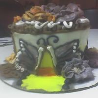 Butterfly Cake 