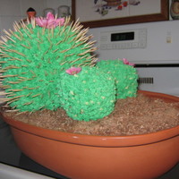 Cacatus Cake Cactus cake...base (in clay pot) is chocolate cake with chocolate frosting,crushed oreo and vanilla wafers cookies to make *dirt* , big...