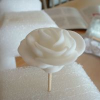 White Rose First time making anything with fondant. White roses for my brother's wedding cake. March 2007