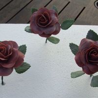 Roses3.jpg Just practicing...