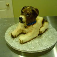 Jack Russel Terrier Cake version of a friend's Jack Russel Terrier! Body was red velvet cake (of course, had to be gross about it) legs and head were...