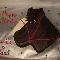 Horse Cake All BC. Carved out from a square 12" pan.