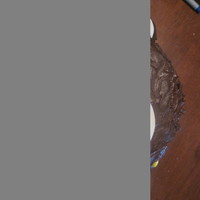 Mod Monkey This was my nephew's 1st Birthday cake. We had a mod monkey theme. The ears are halves of cupcakes and the face is fondant.