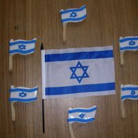 Israeli Flag Cookies Cookies made for the Israel independence day in the shape of the Israeli Flag. The white part is color-flow and the blue is Royal icing.