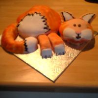 Ginger Cat I know he's a little basic but the concept and plans were from scratch and he's my first attempt so I'm quite proud! Was...