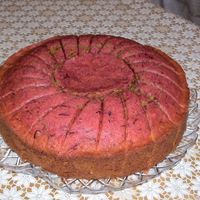 Dsc03861.jpg this is a sugarbeet cake without any icing...It is delicious!!!