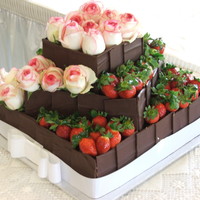 Dark Chocolate With Strawberries 