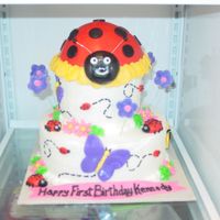 Ladybugs And Butterflies Copied this from BOWEEN. Not really sure I did it justice but was very pleased with the results and the lady loved it.