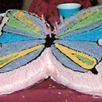 Butterfly Cake 16" round cake, cut, buttercream