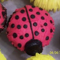 Ladybug Cupcake 