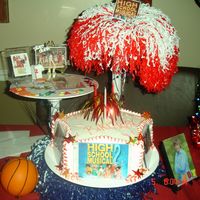 High School Musical This cake was for my niece, who like every other pre teen LOVES Troy !!