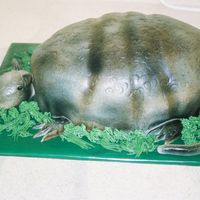 My First Armadillo Cake This was for a friend at work who has mentioned to me for months that she would love to have an armadillo cake for her birthday.