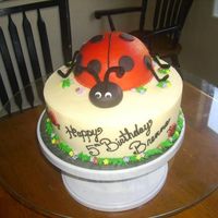 Brenna 10 in. base and 1/2 off sports ball pan for the lady bug. All white cake with buttercream filling. Buttercream icing with fondant accents....