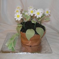 Flower Pot This was my final cake for the Wilton Gumpaste & Fondant class. It was the first time that I made a flower pot cake. The icing was way...