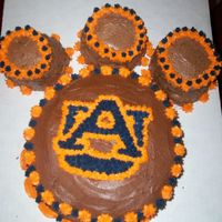 Auburn University Cake WAR EAGLE!!!