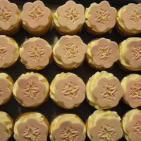 New Wilton Fondant Punch! My mom gave me a Wilton Fondant punch for Christmas. I tried it on these cupcakes for a baby shower.