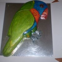 Rainbow Lorikeet Rainbow Lorikeet cake. Made in a hurry and I forgot to define his tail feathers. Didn't realise until I had seen the photo.