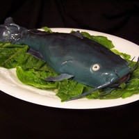 Catfish 