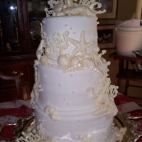 Wedding Cake A small wedding cake, all shells and coral is chocolate