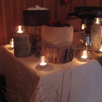 Rustic Wedding Cake First wedding cake - gift for my BIL and new SIL. Rustic wedding in Sundance. Based off picture she found on some rustic wedding site. Fun...