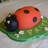 Ladybug Or Ladybird Body baked in oval pans, then carved. The head is RKT covered in fondant. BTW, in the UK they are called Ladybirds rather than bugs.