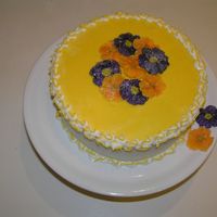 Retirement Cake For My "mother In Law" for my "mother in law" - we are not married - that's why " are there:)My FIRST ROYAL ICING cake. First time piping as...